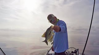 Lake Monroe Crappie Fishing 1222023 [upl. by Pawsner]