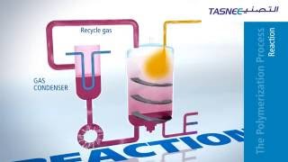 Polypropylene PP Production Process Overview [upl. by Nilecoj]