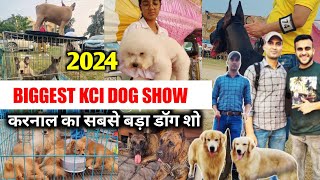 Karnal Biggest 🔥 kci dog show   Wholesale outside dog market  karnal का सबसे बड़ा डॉग शो [upl. by Annaig]