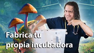 6 Como hacer una incubadora de hongos sagrados  Cultivo en casa [upl. by Anipsed]