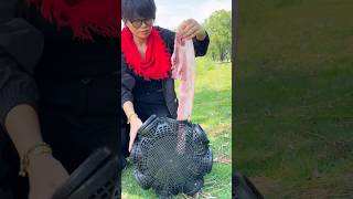 Fish trap shorts fishing trap videos fish shorts fishing [upl. by Anett]