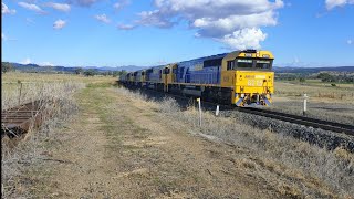 Pacific National 9535 locos 8215 8249 8255 8233 empty grain train at Braefield near Quirindi 27424 [upl. by Etnovad]