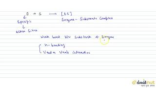 MECHANISM OF ENZYME ACTION [upl. by Aimek]