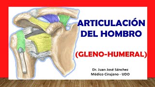 🥇 ARTICULACIÓN DEL HOMBRO Glenohumeral Fácil Rápida y Sencilla [upl. by Naenej]