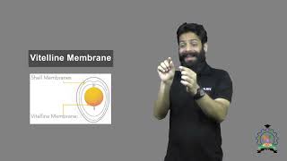 quotVitelline Membranequot  Indian Sign Language Tutorial  How to Sign [upl. by Enetsirhc]