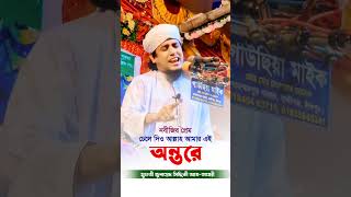 মুফতী জুনায়েদ সিদ্দিকী গজল মুফতীজুনায়েদসিদ্দীকি islamicshorts waz ওয়াজ গজল gojol newwaz [upl. by Dremann807]