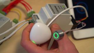 Leak sensor setup Larnitech Smart Home [upl. by Danczyk]