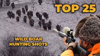 TOP 25 WILD BOAR HUNTING SHOTS [upl. by Ettenuahs]