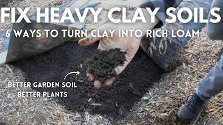 6 Ways to Fix Clay Garden Soil  EASY to HARD Methods [upl. by Lerad]