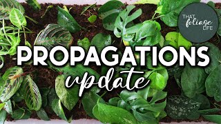 Propagation Box UPDATE [upl. by Ahael]