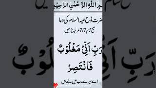 urdu sheikhulwazaifappointment love beautiful Allah [upl. by Norean120]