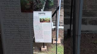 Phnom Penh Darkest History Tuol Sleng Genocide Museum phnomphen genocide museum [upl. by Arahs]