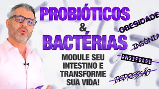 PROBIÓTICOS podem transformar sua saúde 🦠💊💩 [upl. by Assirahc]