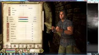 Oblivion Darn UI and OBSE Mod Organizer Installation guide [upl. by Aneelak]