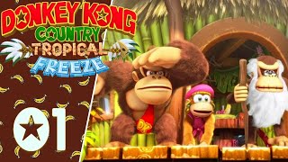 Donkey Kong Tropical Freeze Switch 1 FR  DK est de retour [upl. by Edin827]