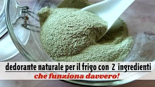 deodorante naturale per il frigorifero solo 2 ingredienti e funziona davvero [upl. by Niwroc]