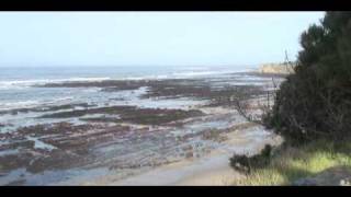 Tsunami March 11 2011 at Bowling Ball Beach Mendocino County [upl. by Aneeb661]