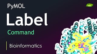 PyMOL Tutorial  Label Command  Molecule Visualization  Bioinformatics  Basic Science Series [upl. by Notnirb]