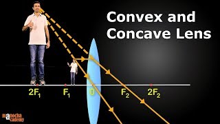 Convex and Concave Lenses [upl. by Nilyak]