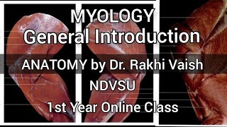 MYOLOGY  Introduction  ANATOMY by Dr Rakhi Vaish  NDVSU  1st Year Online Class vet [upl. by Naux28]