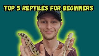 Top 5 Reptiles For Beginners 🤪 [upl. by Burnsed637]