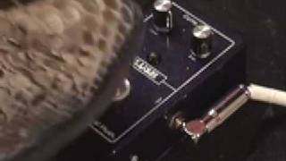 Fuchs Royal Plush Compressor guitar effects pedal demo with Roadworn Strat n Jaguar Jr amp [upl. by Lavery]