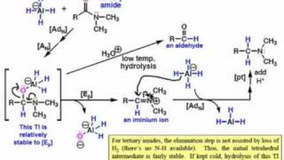 Mechanisms of Amide Reduction by LiAlH4 [upl. by Lisabeth]