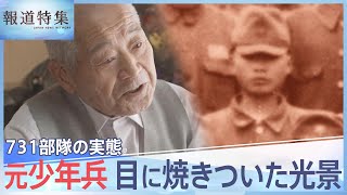 「標本室は目の開けられないくらい･･･」731部隊の実態、元少年兵の目に焼きついた光景【報道特集】  TBS NEWS DIG [upl. by Dinah]