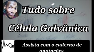 Célula Galvânica  Tudo o que precisas saber [upl. by Utimer]