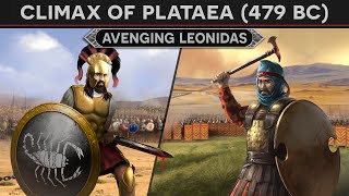 Climax of the Battle of Plataea 479 BC⚔️Spartans vs Immortals DOCUMENTARY [upl. by Conley]