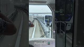 yurikamome monorail line tokyo japan 2024 summer shorts shortvideo [upl. by Paapanen341]