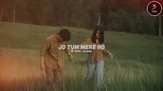 Jo Tum Mere Ho Slowed  Reverb  SREVERB [upl. by Boulanger770]