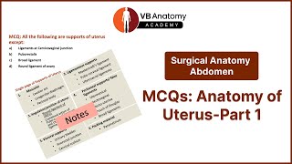 Uterus Anatomy MCQs  Part 13  Explained with Notes [upl. by Hatcher]