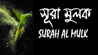 সূরা মুলক । Surah Mulk [upl. by Jerman]