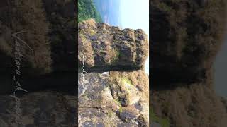 Tringalwadi  Tringalwadi fort  igatpuri  whatsapp status  reels [upl. by Sinnek]