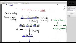 mRNA part 1 [upl. by Schoenberg]