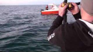 Whyalla Snapper Fishing 125 kg Snapper [upl. by Hoxsie]