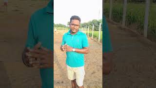 जमाव 100onion farming khetibadi seed onions pyaj [upl. by Irvin]