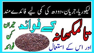 Health Benefits Of Talmakhana  Talmakhan ke fawaid mizaj ur us ke istemal [upl. by Osbert433]