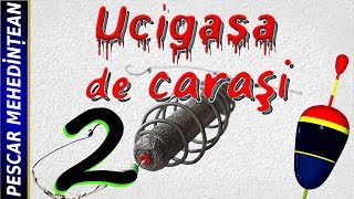 Ucigaşa de caraşi 2 [upl. by Akirre]