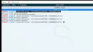 Como descriptografar seu arquivo usando o Kali Linux [upl. by Colombi838]