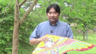 Soaring In The Wind The Science of Kite Flying [upl. by Seed]