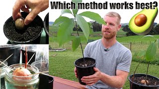 The BEST Way To Grow Avocado From Seed  0  5 Months of Growth [upl. by Agnot327]