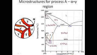 Lecture 18 Iron Iron carbide diagram [upl. by Idnor842]