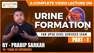 Urine Formation  How is Urine Formed  Mechanism of Urine Formation  By Pradip Sarkar  Part 1 [upl. by Riccardo933]