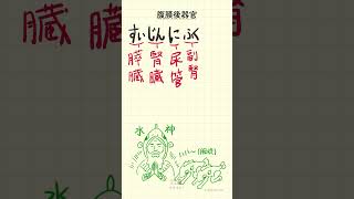 腹膜後器官の語呂合わせ～20秒で国試対策～ [upl. by Voorhis]