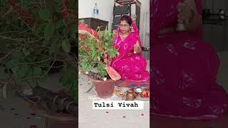 Laher laher Lahraye re mere aangan ki tulsi🙏🙏 [upl. by Arriek]