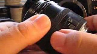 Canon EF 50mm f25 Compact Macro Lens Review [upl. by Ajdan659]