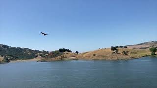 Calero County Park Almaden  San Jose California HD 1080p [upl. by Singh]