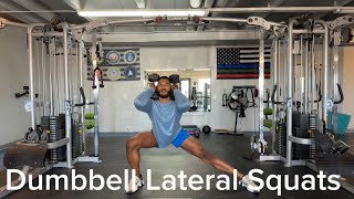 Dumbbell Lateral Squats [upl. by Odell670]